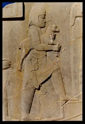 ダリウスの宮殿の南柱廊の東の階段を上って犠牲の子羊を運ぶミード、紀元前485年頃